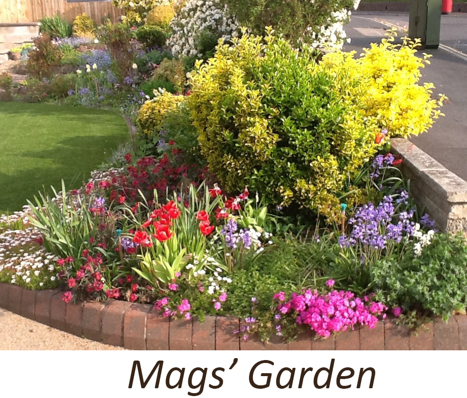 Maggs Garden