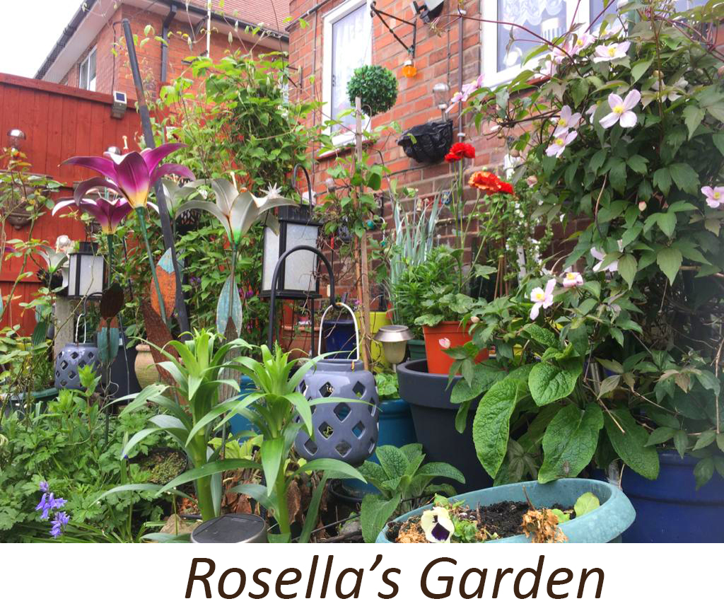 Rosellas Garden