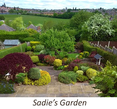 Sadie's Garden